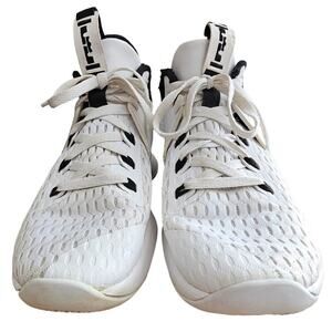 Nike LeBron Shoes